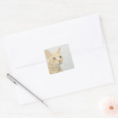 Kat met open ogen vierkante sticker (Envelop)