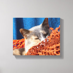 Kat met Oranje Nautisch net Canvas Afdruk