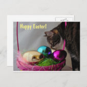 Kat met paasmandje feestdagenkaart (Voorkant / Achterkant)