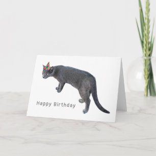 Kat met Party Pet Verjaardag Kaart