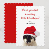 Kat met Pet van Santa Feestdagenkaart (Voorkant / Achterkant)