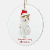 Kat met Pet van Santa Keramisch Ornament (Links)