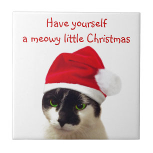 Kat met Pet van Santa Tegeltje