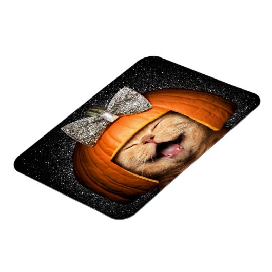 Kat met pompoenhaar magneet (Linkerzijde)