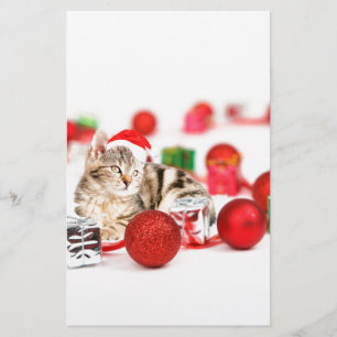 Kat met rode kerstkerstkerstkerstsieraad briefpapier