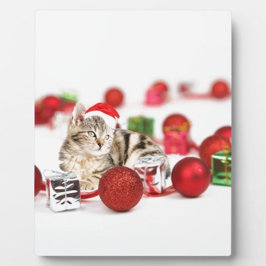 Kat met rode kerstkerstkerstkerstsieraad fotoplaat (Voorkant)