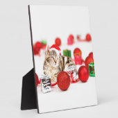 Kat met rode kerstkerstkerstkerstsieraad fotoplaat (Zijkant)