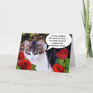 KAT MET RODE ROSEN FEESTDAGEN KAART