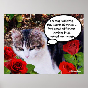 KAT MET RODE ROZEN POSTER