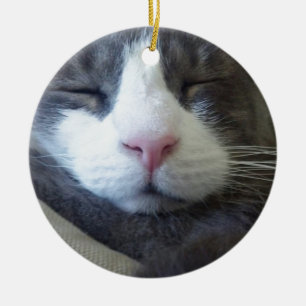 Kat met roze neus slapen keramisch ornament
