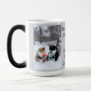 Kat Met Sneeuwbol, Afbeeldingsnamen Tekst, Aanpass Magische Mok