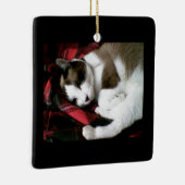 kat met sneeuwschoen keramisch ornament (Rechts)