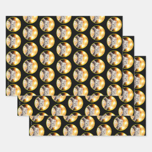 Kat met Sparkler Cupcake Inpakpapier Vel