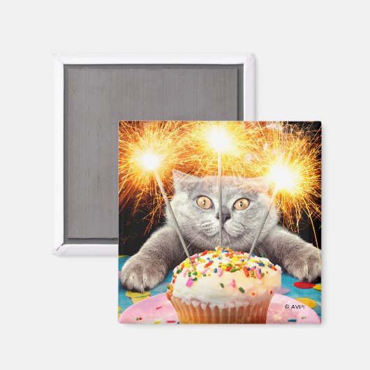 Kat met Sparkler Cupcake Magneet (Voorkant / Achterkant)