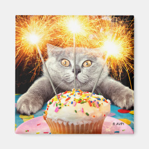 Kat met Sparkler Cupcake Magneet