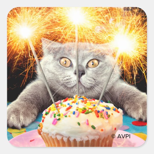 Kat met Sparkler Cupcake Vierkante Sticker (Voorkant)