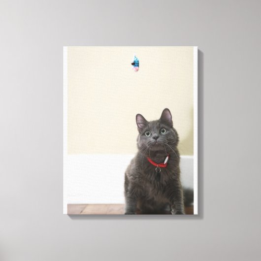 Kat met speelgoed canvas afdruk (Voorkant)