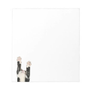 Kat met speelse katjes notitieblok