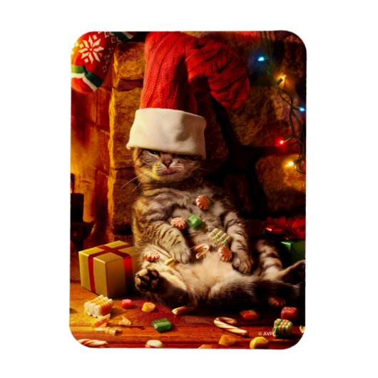 Kat met stop op kop magneet (Verticaal)