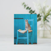 Kat met tabby op een blauwe stoel briefkaart (Staand voorkant)
