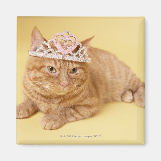 Kat met tiara magneet (Voorkant)