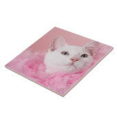 Kat met vederveen tegeltje (Zijkant)