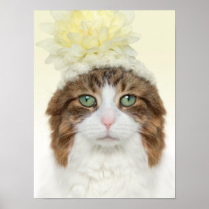 Kat met ventilator Pet Poster