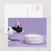 Kat met verjaardagscadeau pet blaast kaarsen uit briefkaart (Voorkant / Achterkant)