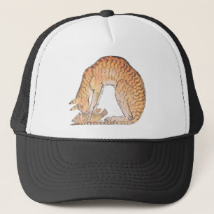 kat met vis trucker pet