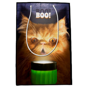 Kat met vlieglicht medium cadeauzakje