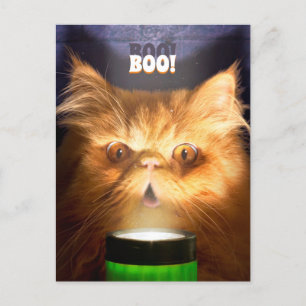 Kat met vlieglicht uitnodiging briefkaart