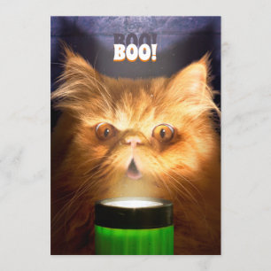 Kat Met Zaklamp Kaart