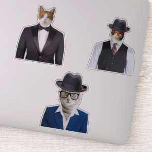 Kat met zonnebril sticker