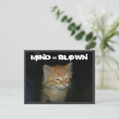 Kat "MIND = BLOWN" Briefkaart (Staand voorkant)