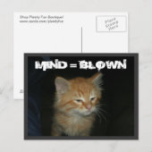 Kat "MIND = BLOWN" Briefkaart (Voorkant / Achterkant)