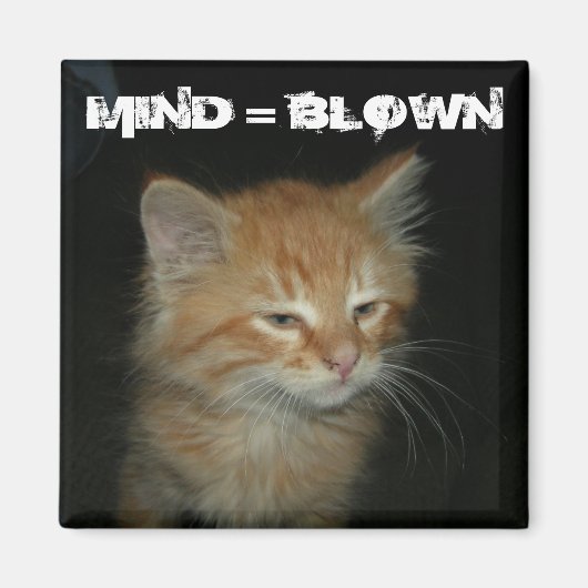 Kat "MIND = BLOWN" Magnet Magneet (Voorkant)