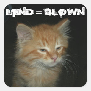 Kat "MIND = BLOWN" stickers - Stel 20 in