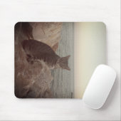 Kat-modus Muismat (Met muis)