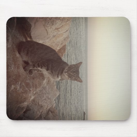 Kat-modus Muismat (Voorkant)