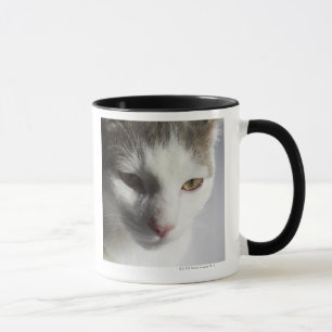 Kat Mok