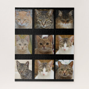 Kat-mozaïek legpuzzel