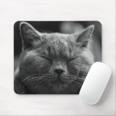 kat muismat (Met muis)