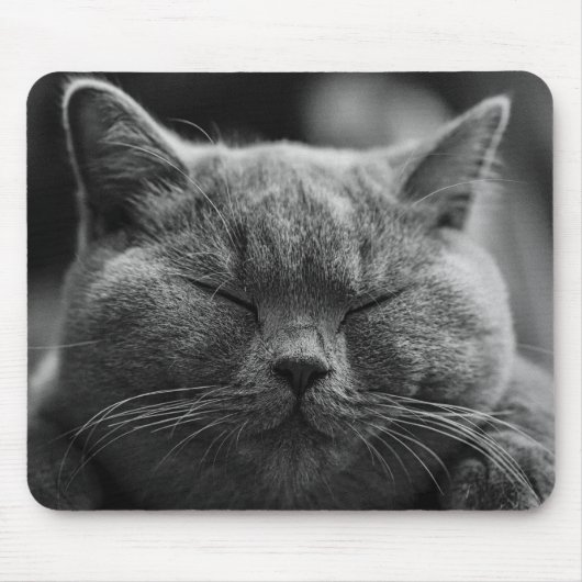 kat muismat (Voorkant)