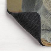 Kat Muismat (Hoek)