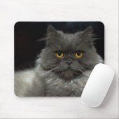 Kat Muismat (Met muis)