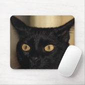 Kat-muismat Muismat (Met muis)