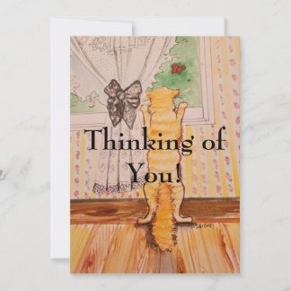 kat na creditcard kaart