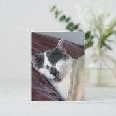Kat Napping Briefkaart (Staand voorkant)