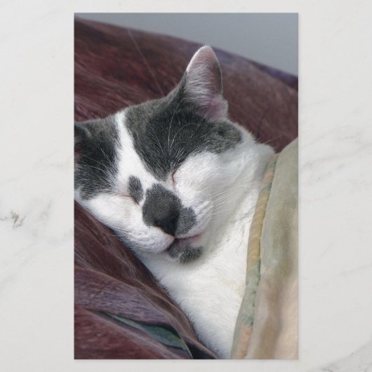 Kat Napping Briefpapier (Voorkant)