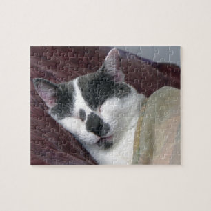 Kat Napping Legpuzzel